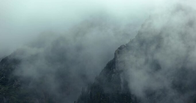 Foggy forest mountain landscape, clouds moving