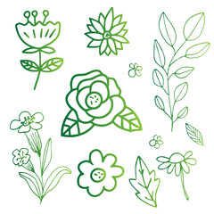 Hand drawn Floral Illustrations and Botanical Elements