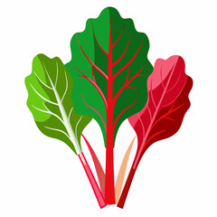 Vibrant Swiss Chard Illustration A trio of colorful leaves showcasing green red and light green varieties with detailed stems and veins set against a clean