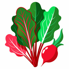 Vibrant Beetroot Illustration with Lush Green and Red Leaves Featuring a Fresh Healthy Vegetable on a Clean White Background Ideal for Food and Nutrition Content