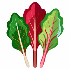 Colorful Swiss Chard Illustration A vibrant depiction of three Swiss chard leaves in green red and yellow showcasing their unique textures and colors against a