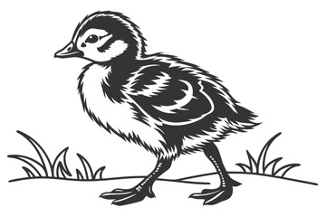 Black and white duckling stands amid sparse grass in a simple line drawing