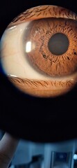 eyes