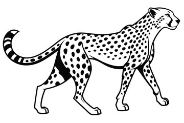 Outlined cheetah advances forward, its distinctive black spots clearly presented on its body