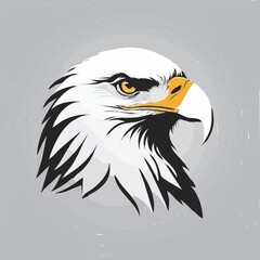 Fototapeta premium bald eagle vector illustration