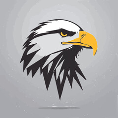 american bald eagle vector illustration
