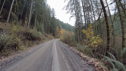 Fototapeta premium Narrow forest road winding through thick trees, showcasing autumn foliage and serene atmosphere