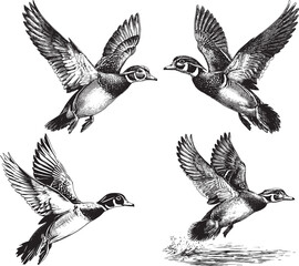 Fototapeta premium Duck Hunting Svg