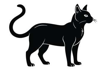 Black cat stands elegantly, its silhouette outlined against a bright background, showcasing minimalistic charm