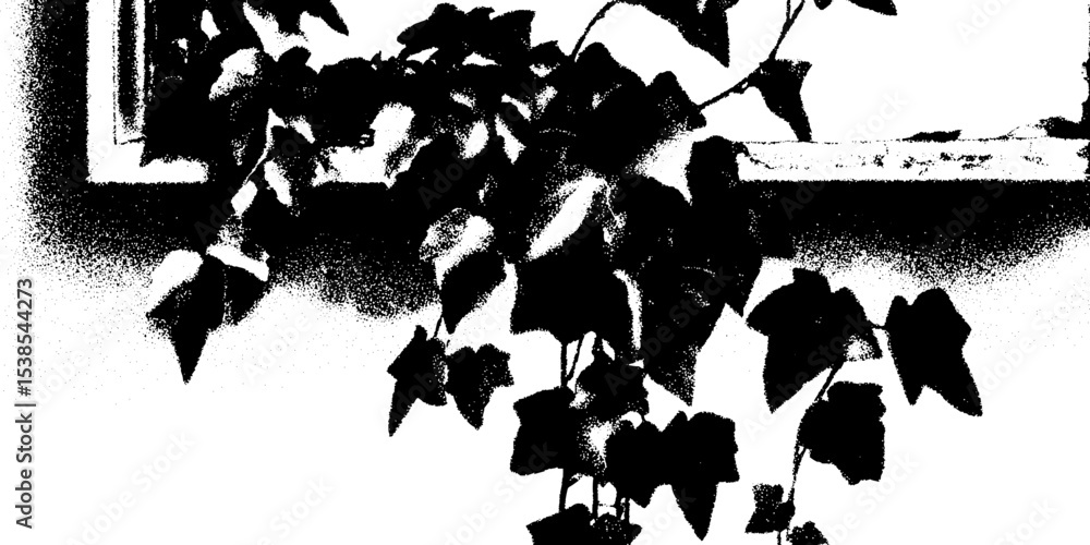 Poster chipped window sill with cascading ivy in high contrast design for decorative use