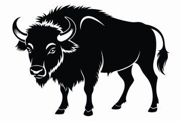 A solid black bison stands majestically with its horns and shaggy fur visible