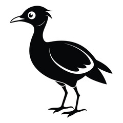 Standing black bird faces left with small crest feathers in a simple vector