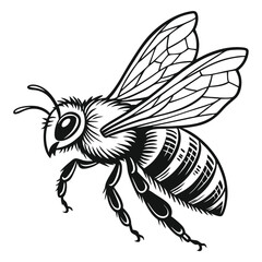Monochromatic illustration showcases a detailed honeybee with patterned wings in a dynamic pose