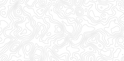 Abstract topography pattern lines sea map area space geometric strip grid line topo map technology modern design white background.