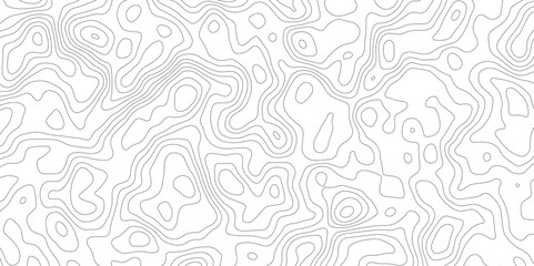 Abstract topography pattern lines sea map area space geometric strip grid line topo map technology modern design white background.