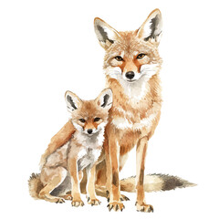A Mother Jackal With Her Kid, watercolor illustration vector, isolated on a white background.