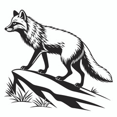 Sleek black and white fox gracefully perched atop a rugged, rocky outcrop is captured