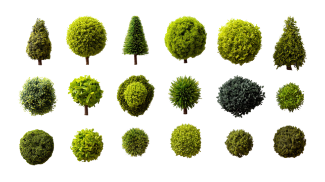 Collection of topiary trees isolated on black background perfect for garden design