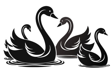 Fototapeta premium Four elegant black swans are swimming gracefully in the water together peacefully
