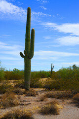 Cloudy Landscape Sonoran Desert Arizona