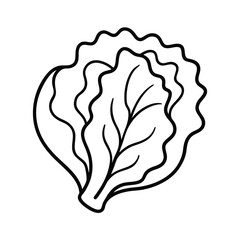 seashell vector illustration