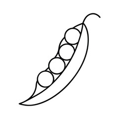 vector illustration of an apple