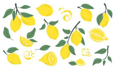 Obraz premium Amalfi lemon collection. Whole, half and slice chopped lemon fruit. Citrus leaves and flowers. Vector illustration.