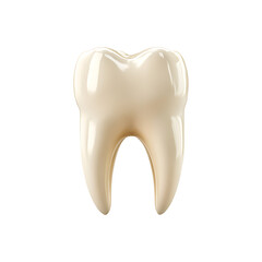3D Render of Human Molar Tooth with Enamel Crown and Root Anatomy Isolated on transparent background, png