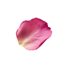 Soft Pink Rose Petal with Velvety Texture Isolated on Transparent Background, png