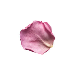 Single Romantic Pink Rose Petal for Botanical or Wedding Design, Isolated on Transparent Background, png