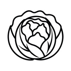 vector illustration of a rose