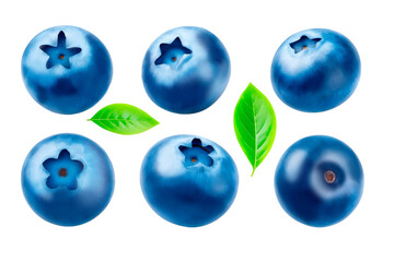 blueberries isolated on white background