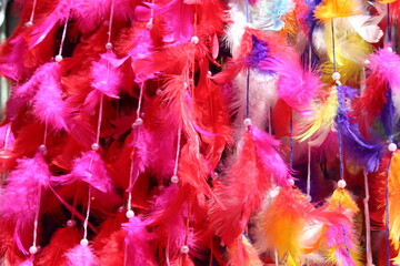 colorful feathers background
