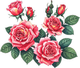 Beautiful pink roses with green leaves. Romantic rose bouquet with vibrant pink petals and buds. Fresh and vivid pink roses in full bloom with buds. pink roses with rich details and natural textures
