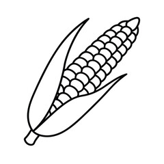vector illustration of a corn