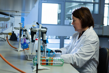 Female scientist operating pipettes at bench in lab with test tubes, laptop, gas hose, copy space