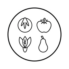 vector illustration of an apple