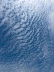 Patterned clouds creating a textured sky against a clear blue backdrop, perfect for nature and sky-themed concepts
