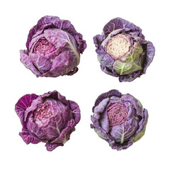 Obraz premium Four vibrant purple cabbages, close-up, arranged in a grid