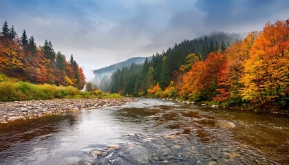 mountain river and leaf fall forest on a rainy day moloda river near osmoloda in ivano frankivsk region ukraine autumn landscape
