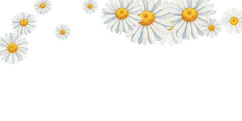 Fototapeta premium Adobe Illustrator Artwork