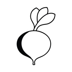 apple icon vector illustration