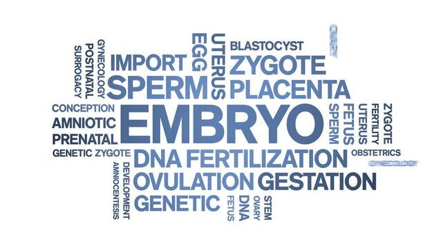 Embryo animated word cloud;text design animation tag kinetic typography seamless loop.