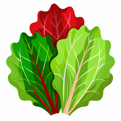 Vibrant Swiss Chard Illustration Featuring Red Dark Green and Light Green Leaves Perfect for Food Health and Nutrition Related Designs Isolated on White Background