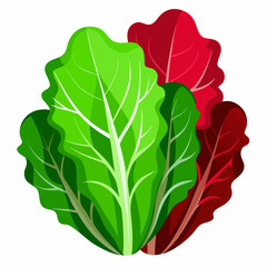 Colorful Chard Illustration with Green and Red Leaves a Healthy Vegetable for Cooking and Eating Perfect for Food Illustrations and Nutritional Content Designs on a