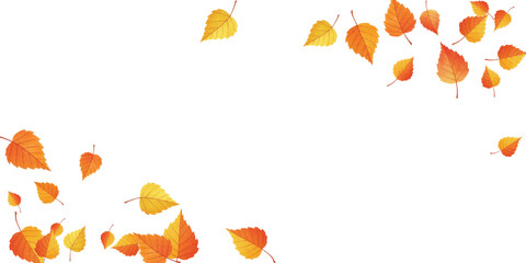 Obraz premium Adobe Illustrator Artwork