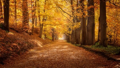 Obraz premium autumn forest path lined with golden trees as leaves gently cascade to the ground in slow motion rich warm colors create peaceful nostalgic atmosphere perfect for seasonal transitions