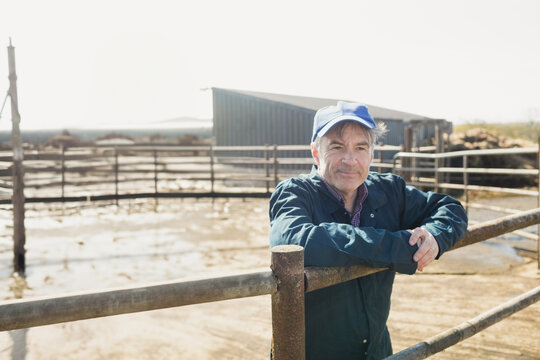Senior man leaning on rusted metal fence in muddy livestock pen near metal shed, copy space