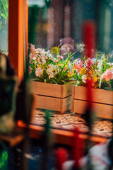 Flowers in the interior of a cozy European cafe