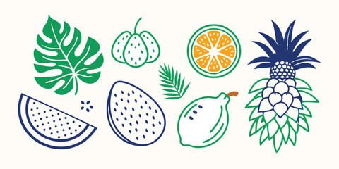 Collection of vibrant hand drawn fruit and tropical plant illustrations perfect for summertime graphics and summer vacation illustration set designs.